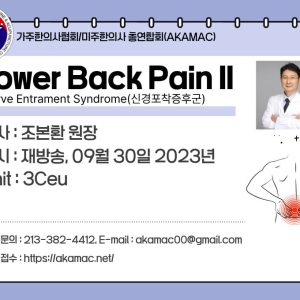 Nerve Entrapment: Lumbago, Lower Extremities II (신경포착증후군 요통 하지부 II) (재)