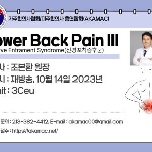 Nerve Entrapment: Lumbago, Lower Extremities III (신경포착증후군 요통 하지부 III)